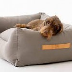 Dog Beds